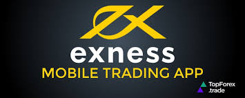 Download Exness Mt5 Desktop Version 26