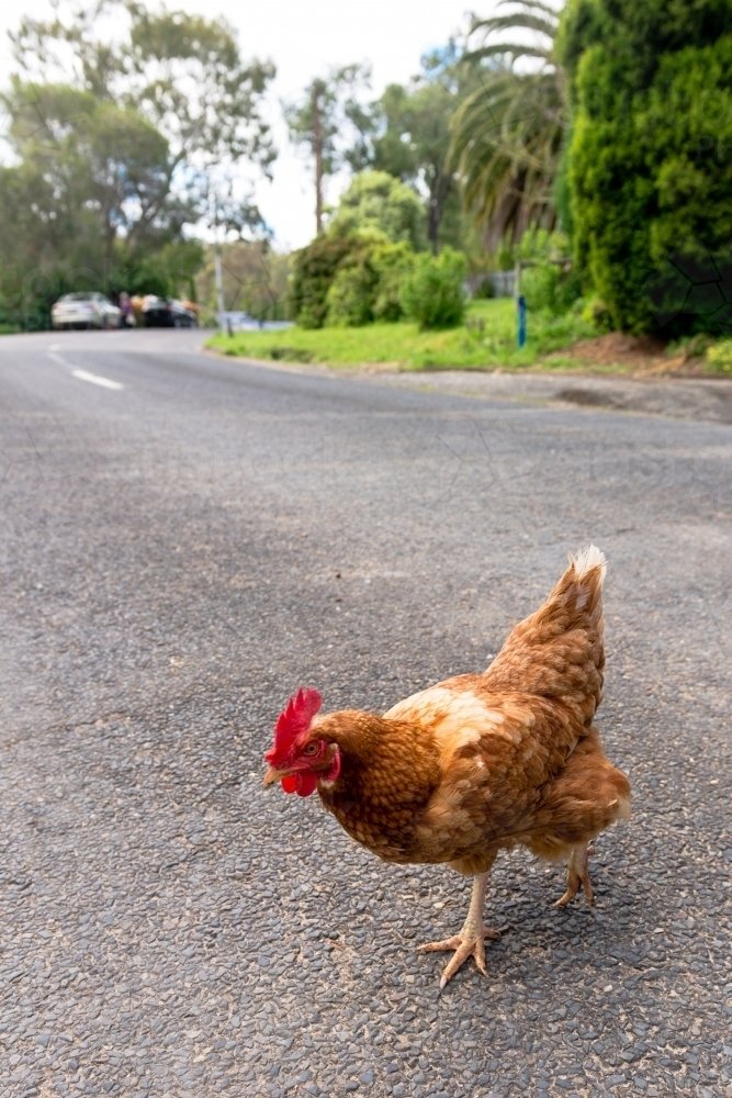 Image: Descubre el mundo emocionante de Chiken Road en España, un juego de casino