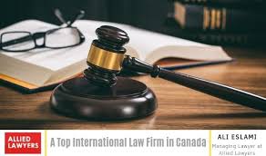Legal Team International Understanding the Importance of a Global Legal Perspective