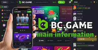 The Ultimate Guide to the BC.Game Registration Process